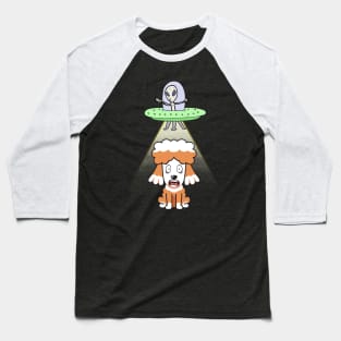 Funny poodle is being abducted by aliens Baseball T-Shirt